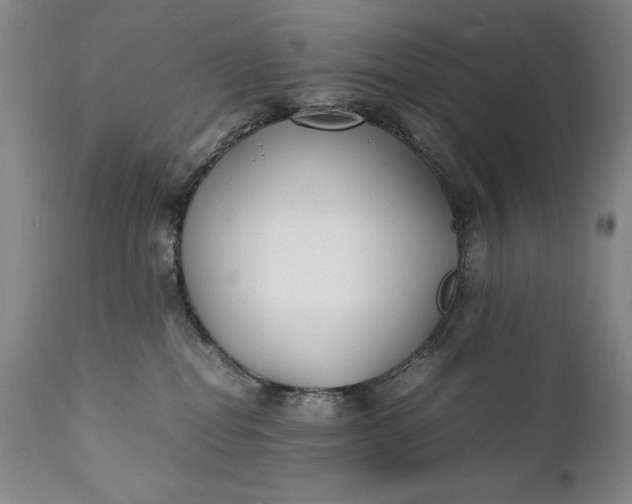 X0000111430282200907271112