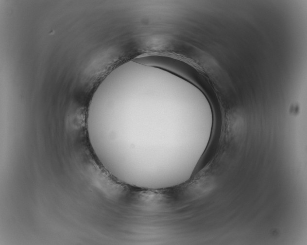 X0000111430284200907271112