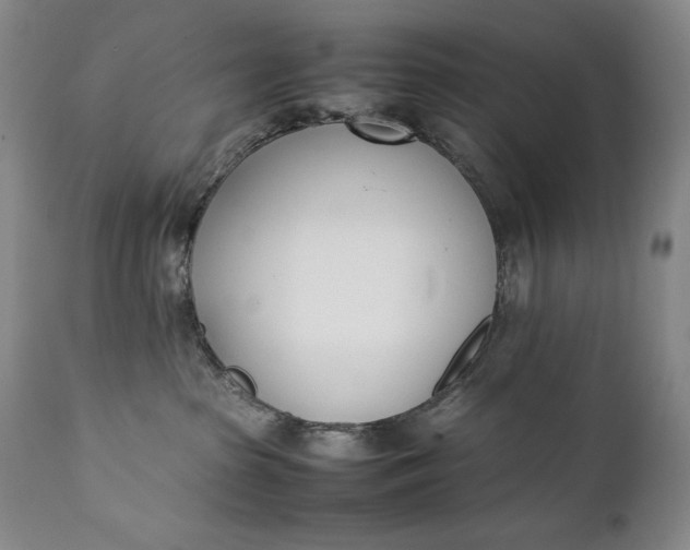 X0000111430285200907271112