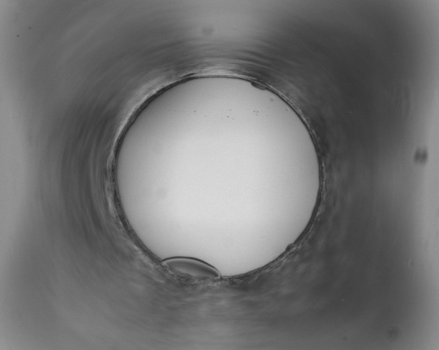 X0000111430289200907271111