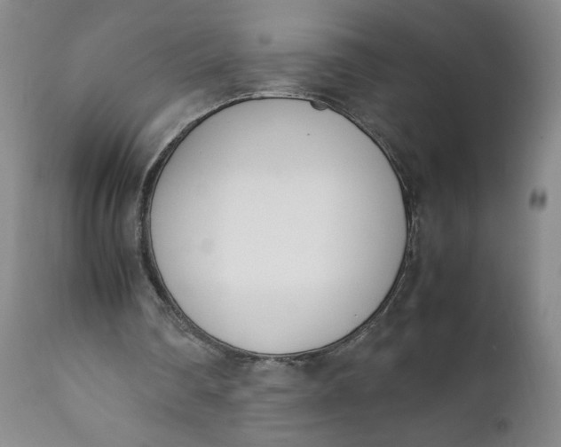 X0000111430290200907271111