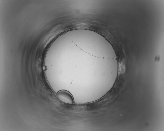 X0000111430291200907271111