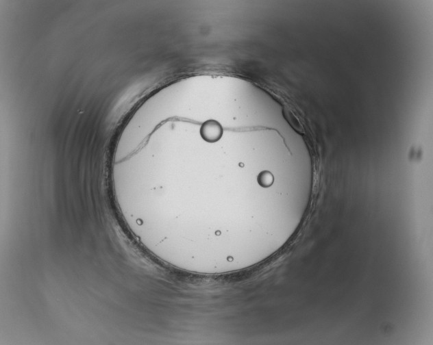 X0000111430293200907271111