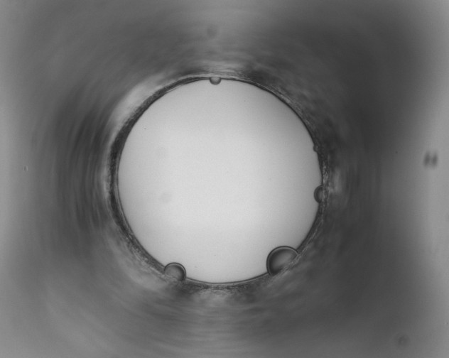 X0000111430294200907271111