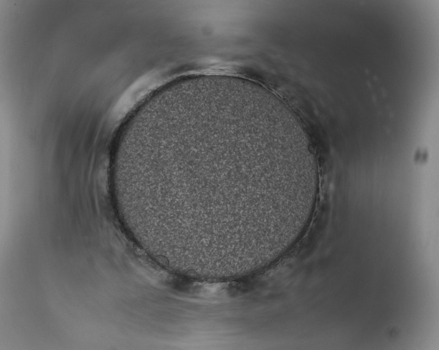 X0000111430295200907271111