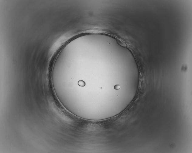 X0000111430296200907271111