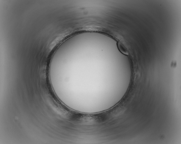 X0000111430299200907271111