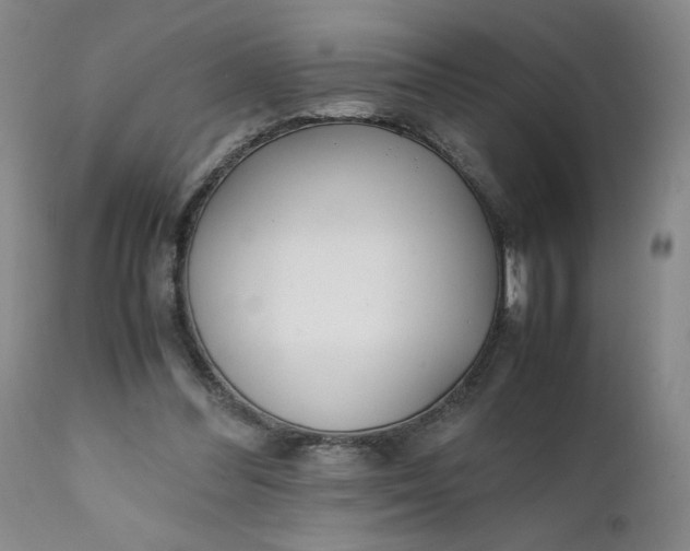 X0000111430300200907271111