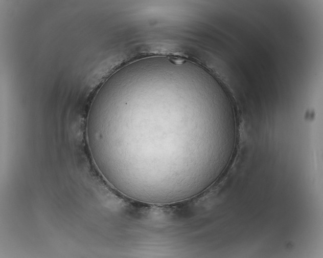 X0000111430305200907271111