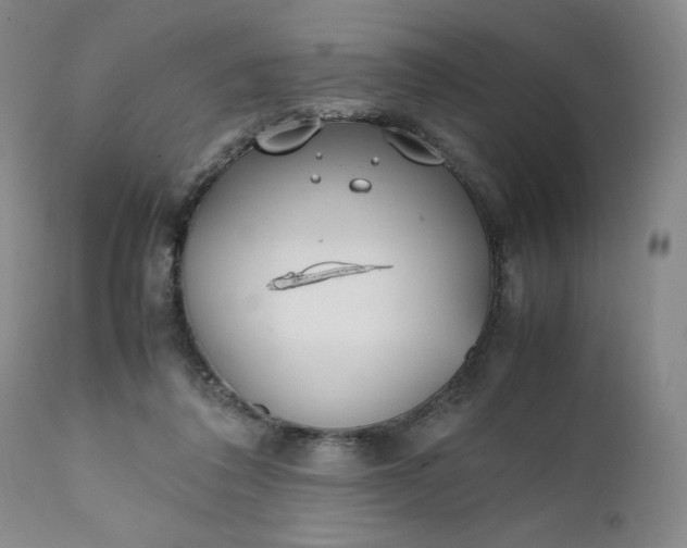 X0000111430308200907271111