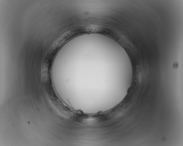 X0000111430312200907271111