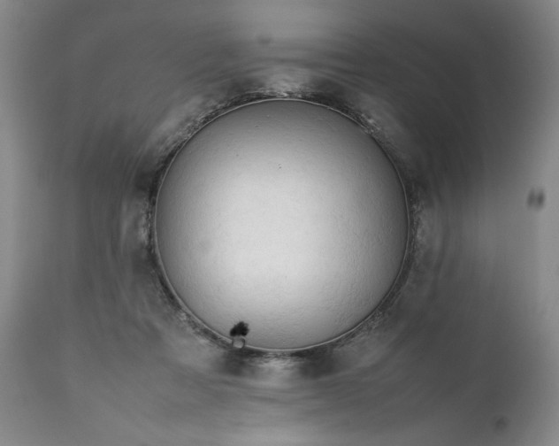 X0000111430313200907271111