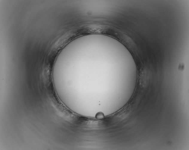 X0000111430314200907271111