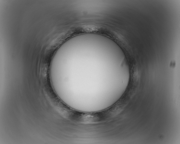 X0000111430315200907271111