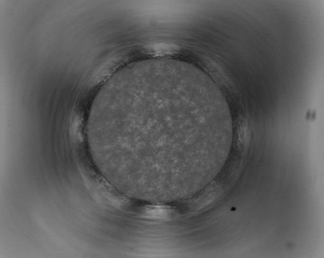 X0000111430316200907271111