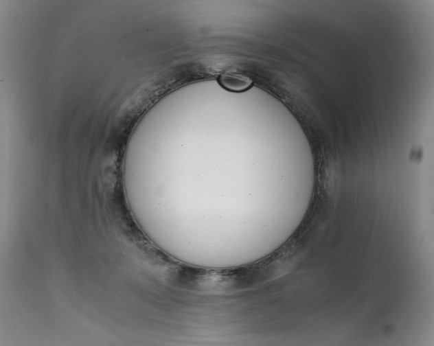 X0000111430319200907271111