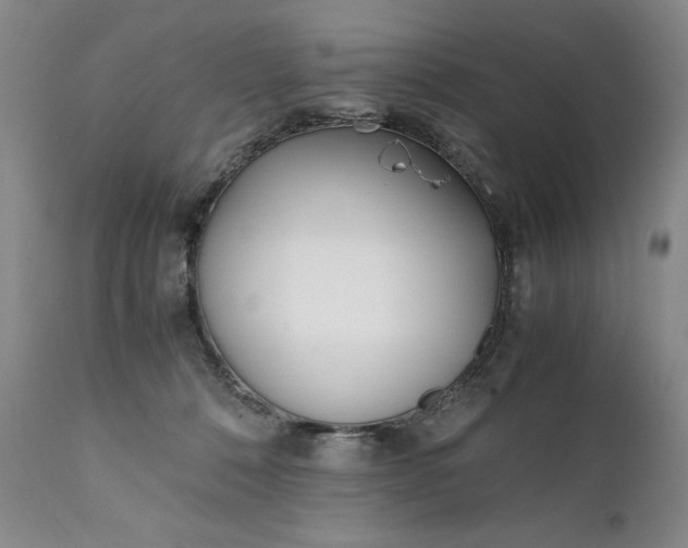 X0000111430320200907271111