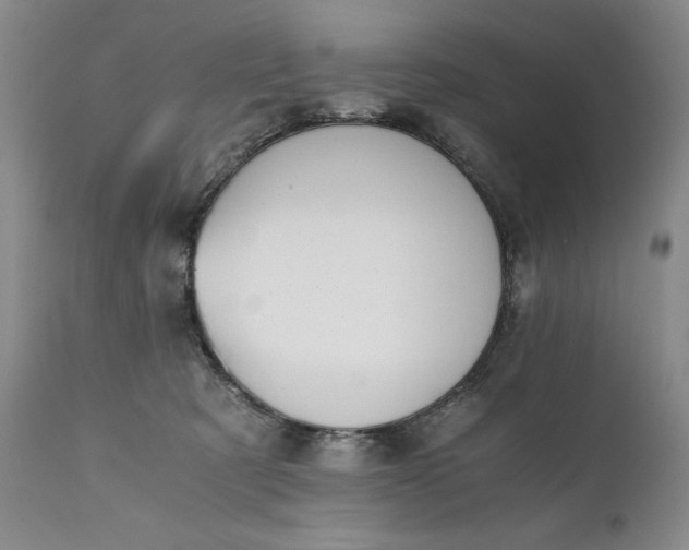 X0000111430321200907271111