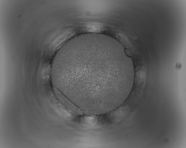 X0000111430325200907271111