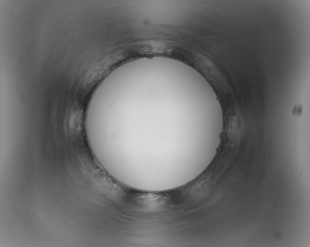 X0000111430326200907271111