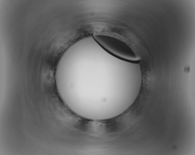 X0000111430327200907271111