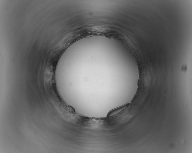 X0000111430328200907271111