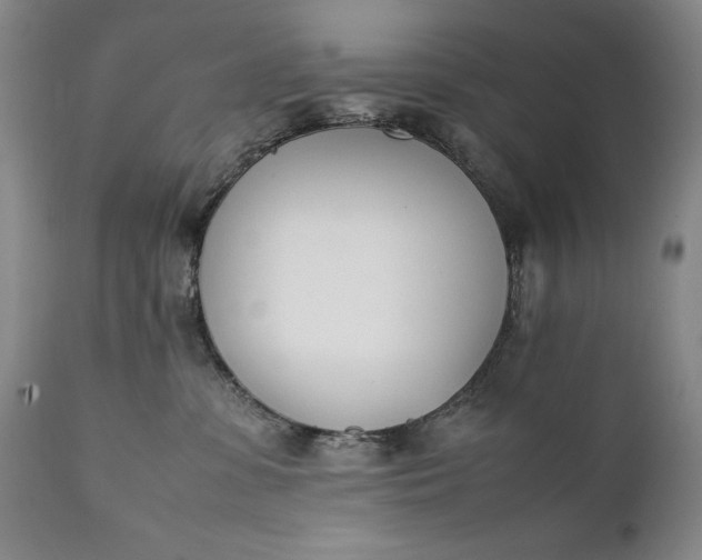 X0000111430331200907271111