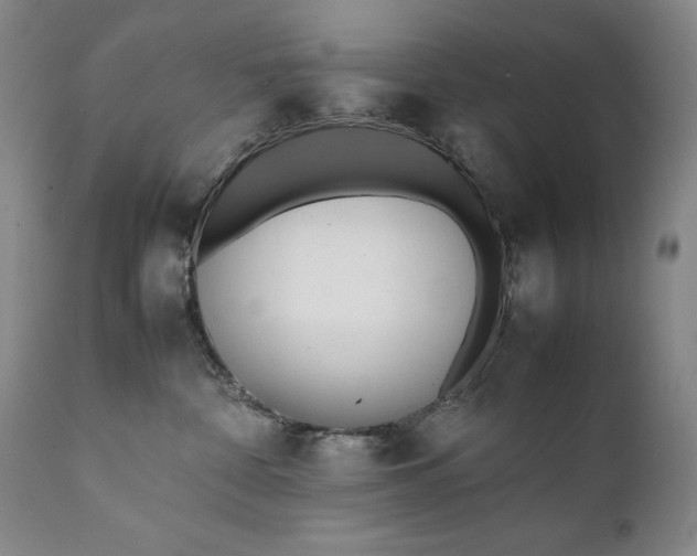 X0000111430332200907271111