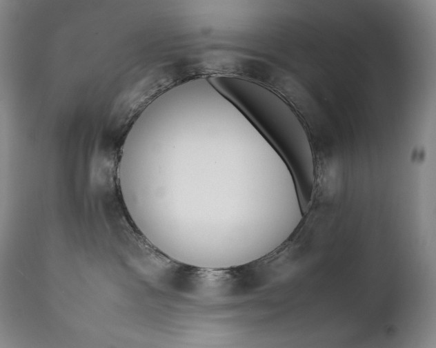 X0000111430333200907271111