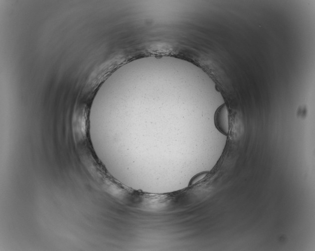 X0000111430334200907271111