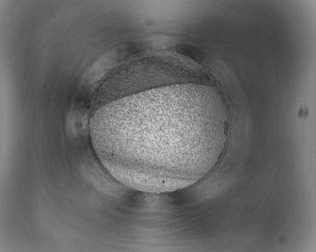 X0000111430336200907271111