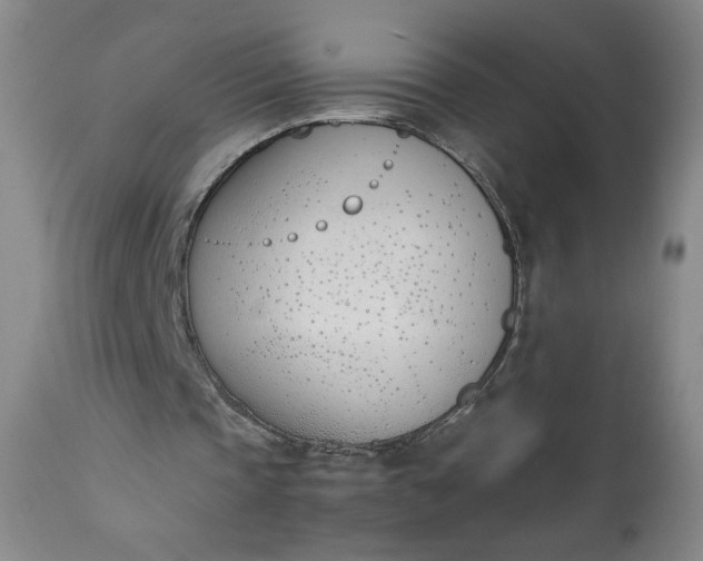 X0000111430337200907271110