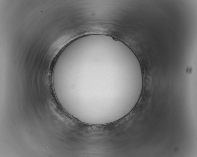 X0000111430338200907271110