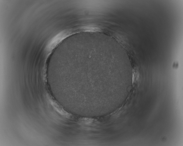 X0000111430339200907271110