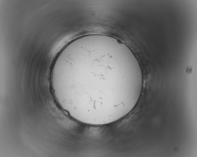 X0000111430341200907271110