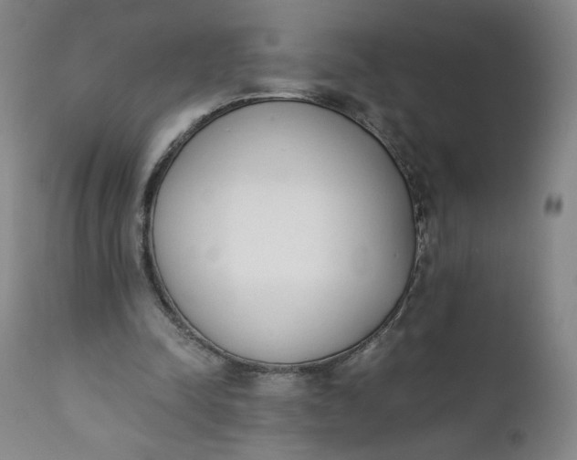 X0000111430342200907271110