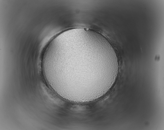 X0000111430343200907271110