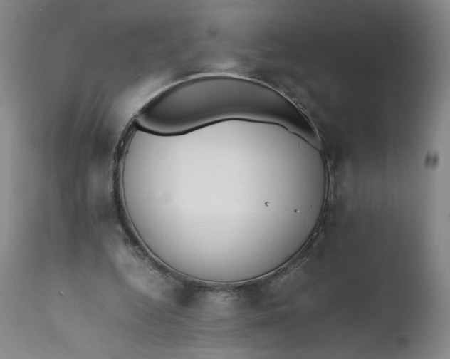 X0000111430344200907271110