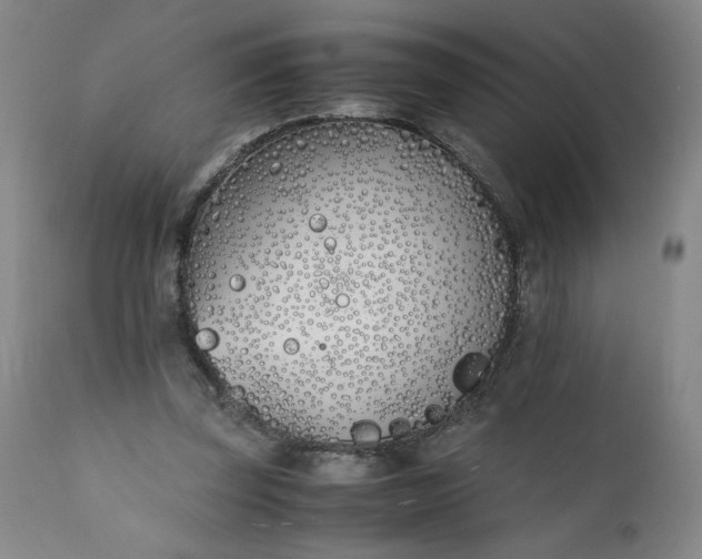 X0000111430347200907271110