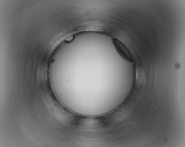 X0000111430348200907271110