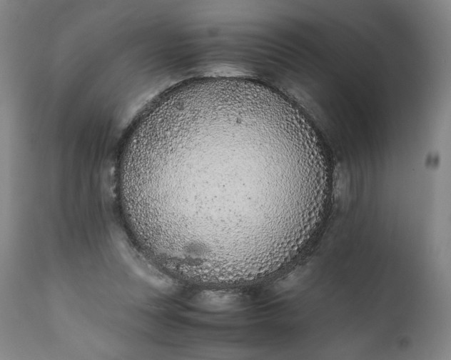 X0000111430351200907271110