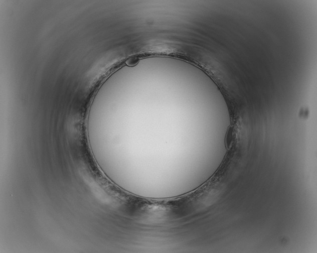 X0000111430352200907271110