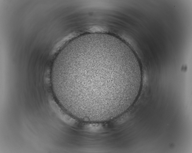 X0000111430353200907271110