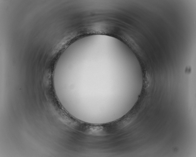 X0000111430355200907271110