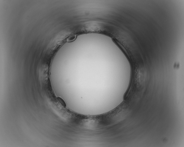 X0000111430356200907271110