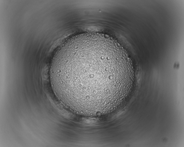 X0000111430359200907271110