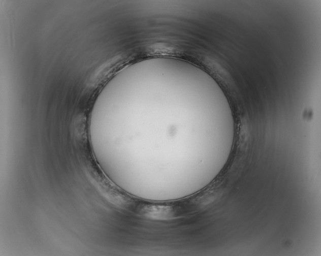 X0000111430361200907271110