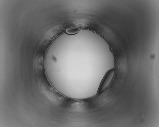 X0000111430364200907271111