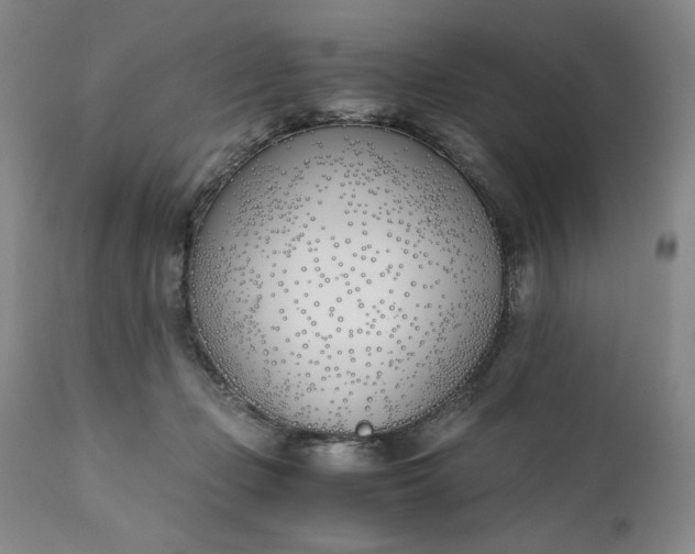 X0000111430365200907271111