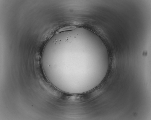 X0000111430366200907271111